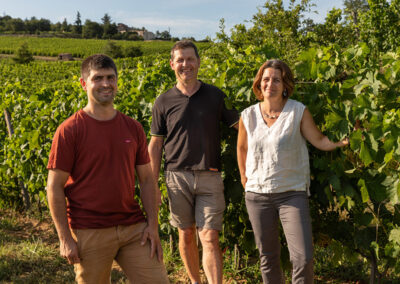 Domaine des Amphores, Saint-Joseph, Condrieu