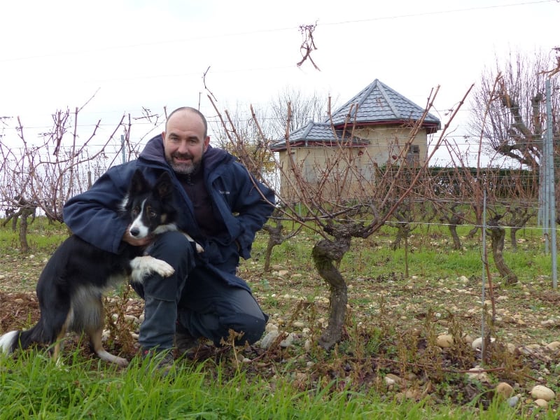Domaine Petite Gallée